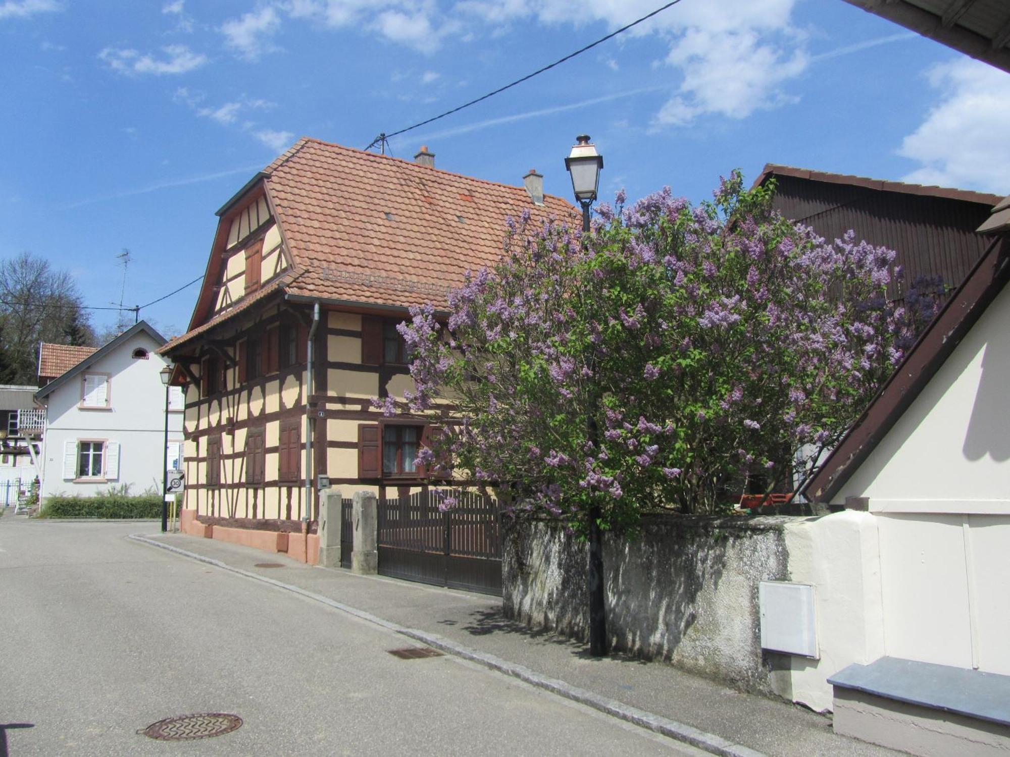 Logis Hotel Restaurant Au Lion Rouge Bartenheim Esterno foto